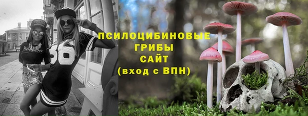 СК Балахна